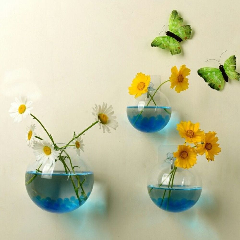Transparente Glasvase Wandbeha – Hydroponic Grow Pod Bewertung und Preis