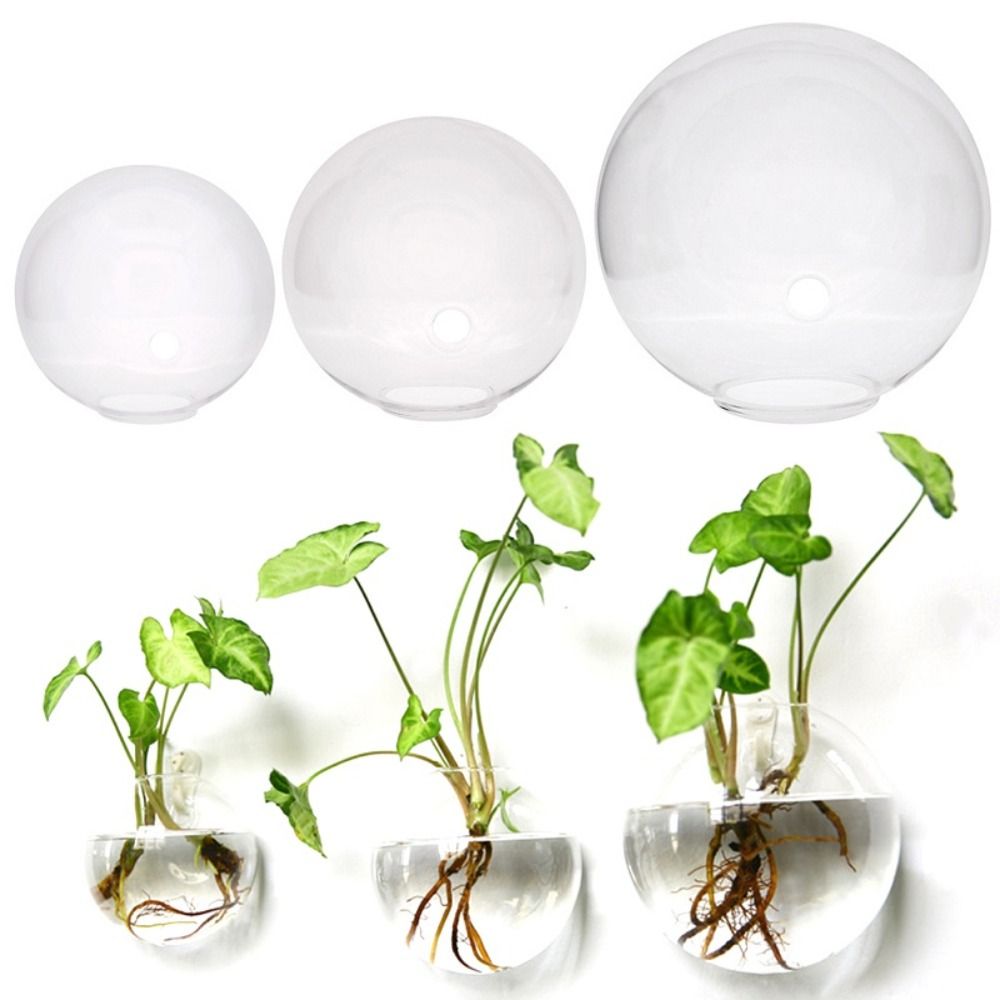 Transparente Glasvase Wandbeha – Hydroponic Grow Pod Bewertung und Preis