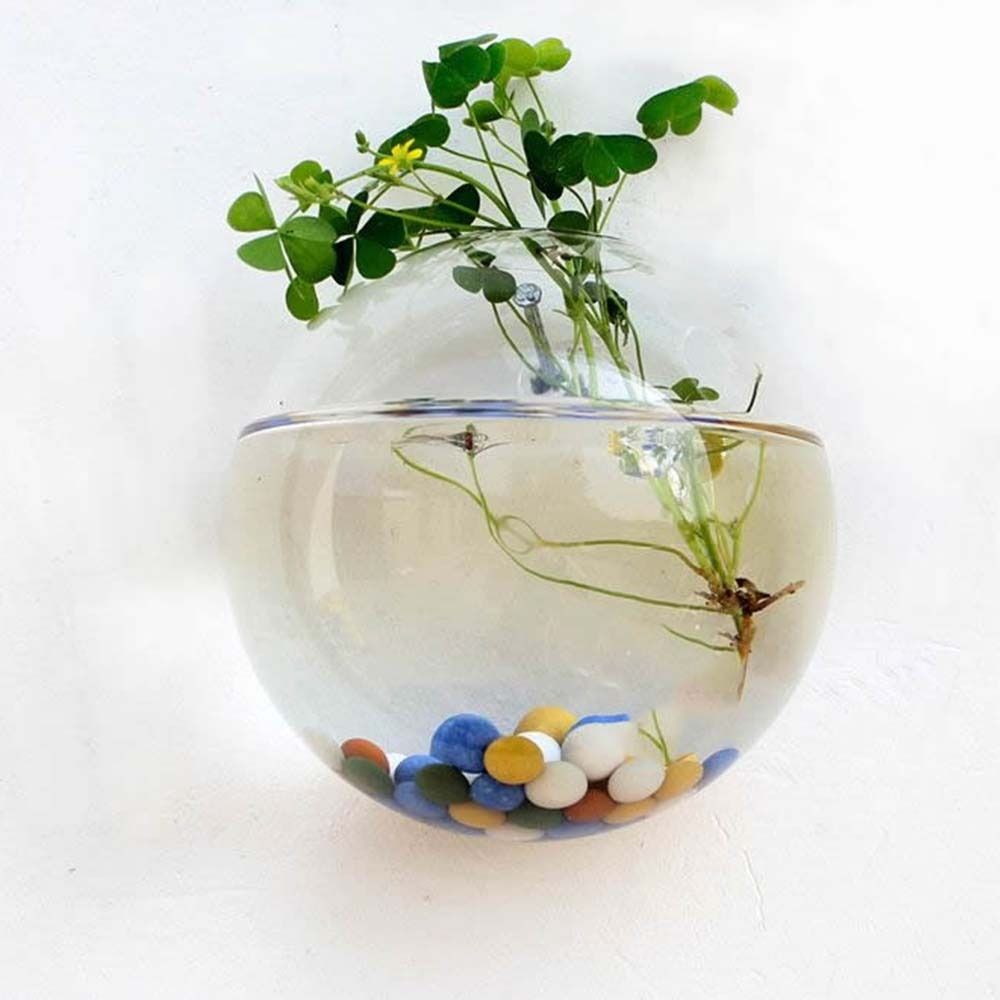 Transparente Glasvase Wandbeha – Hydroponic Grow Pod Bewertung und Preis