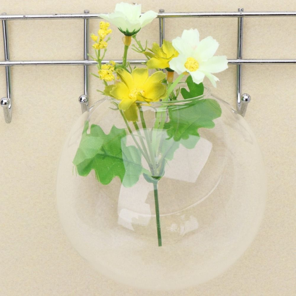 Transparente Glasvase Wandbeha – Hydroponic Grow Pod Bewertung und Preis