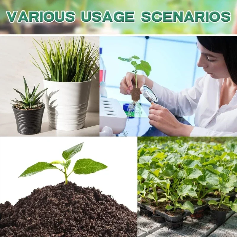 Setzling-Starter-Schwamm-Kit f – Indoor Garden Kit Bewertung und Preis