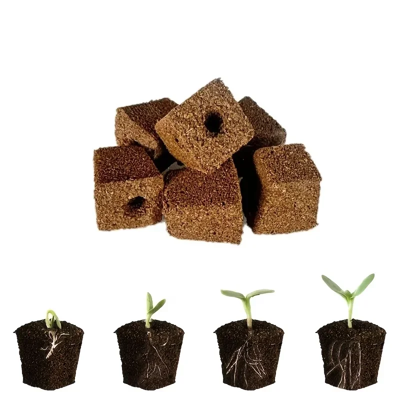 Setzling-Starter-Schwamm-Kit f – Indoor Garden Kit Bewertung und Preis
