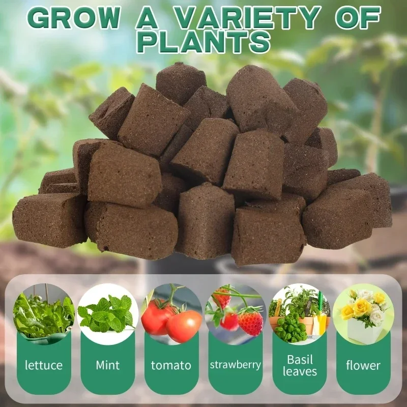 Setzling-Starter-Schwamm-Kit f – Indoor Garden Kit Bewertung und Preis