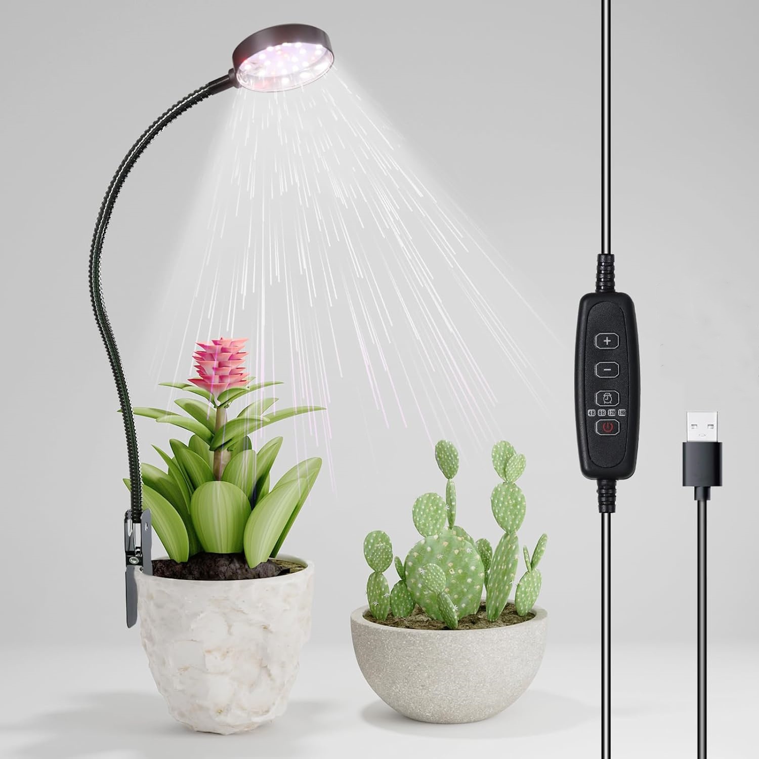 USB LED Pflanzenlampe 6000K Vo – Plant Grow Light Full Spectrum Bewertung und Preis