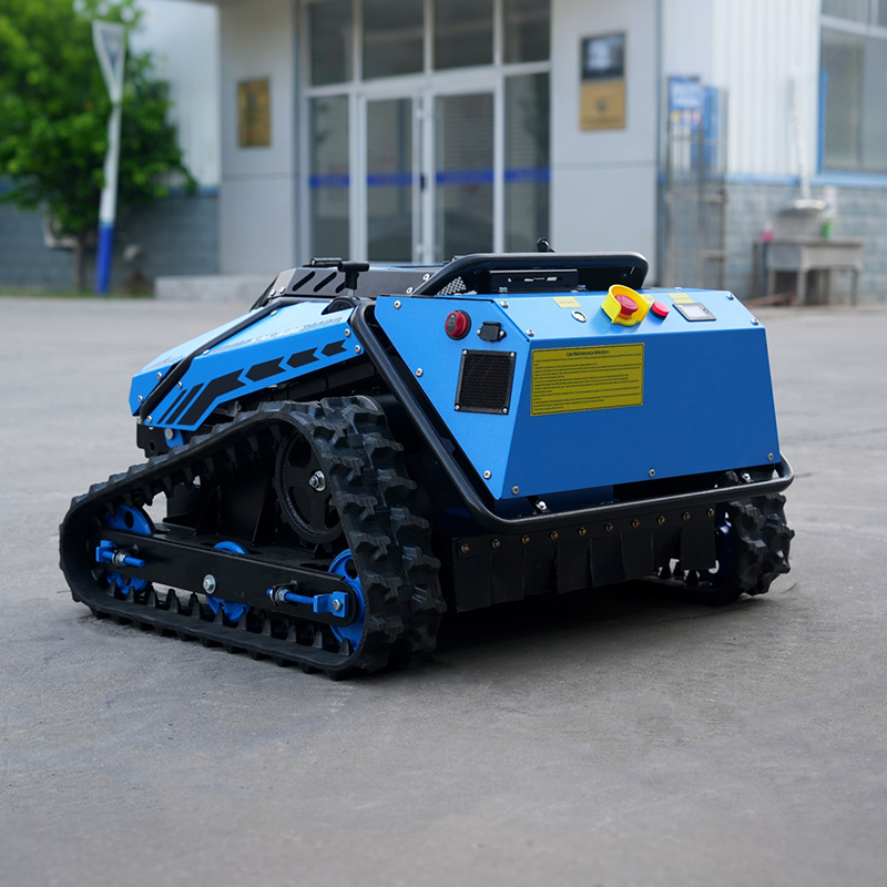 Roboter-Rasenmäher mit Lidar-K – Garden Camera Bewertung und Preis