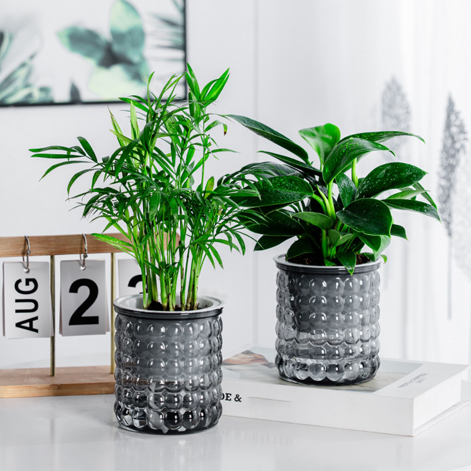 Neue Selbst Bewässerung Hydrok – Hydroponic Grow Pod Bewertung und Preis