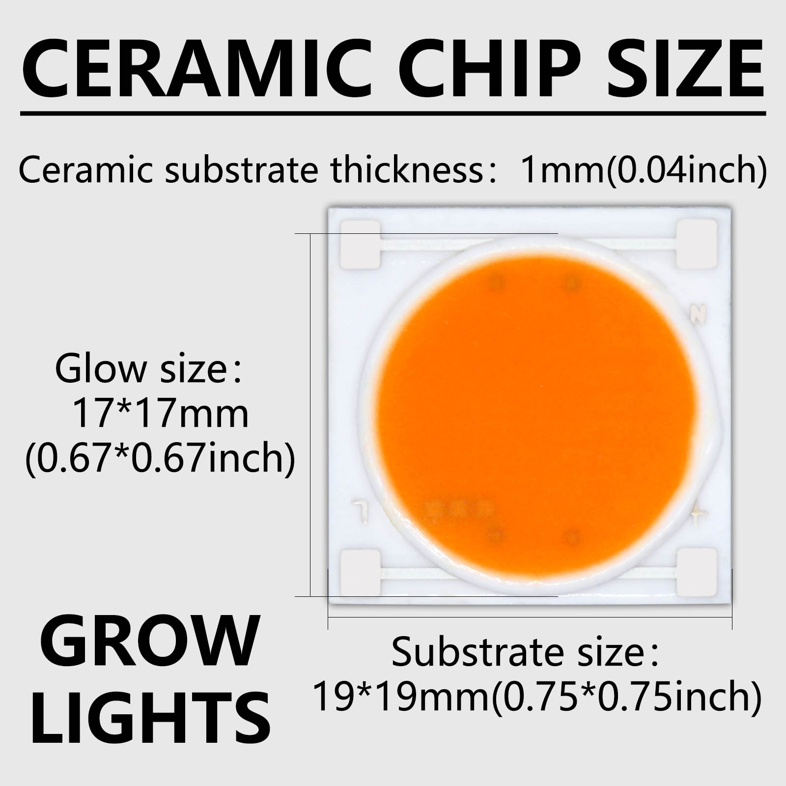 5 stücke Keramik Basis LED COB – Plant Grow Light Full Spectrum Bewertung und Preis