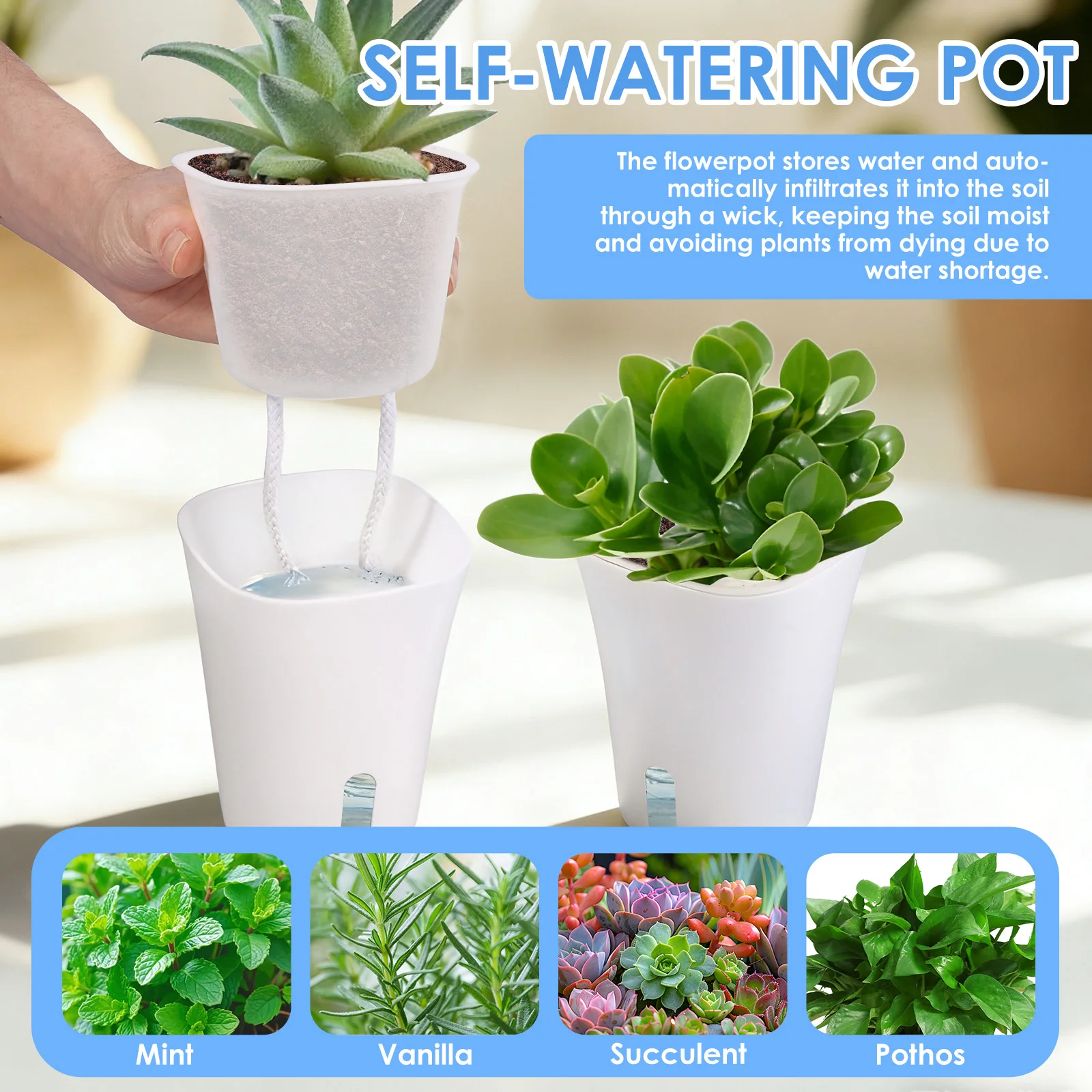 10 Stück selbstbewässernde Blu – Hydroponic Grow Pod Bewertung und Preis
