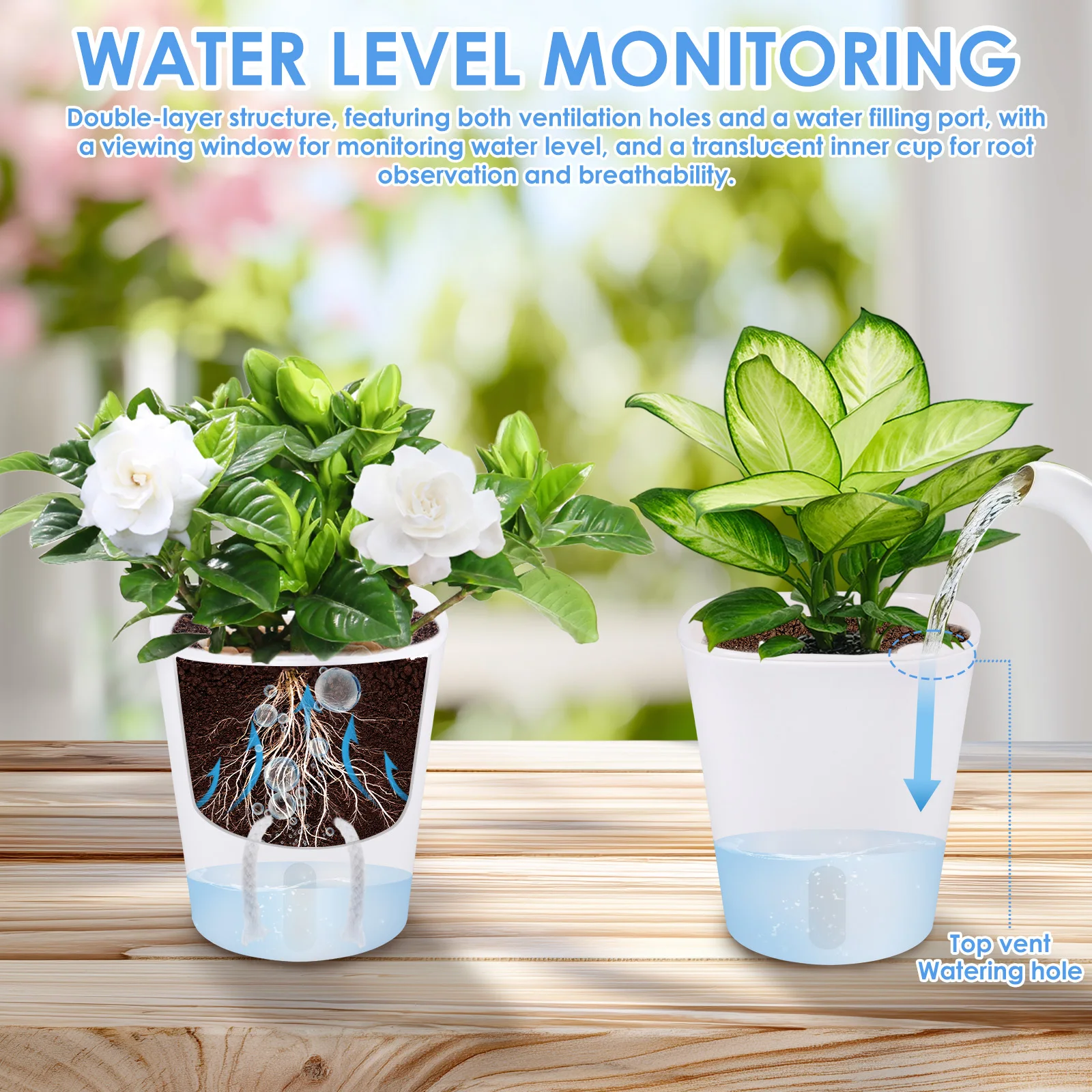 10 Stück selbstbewässernde Blu – Hydroponic Grow Pod Bewertung und Preis