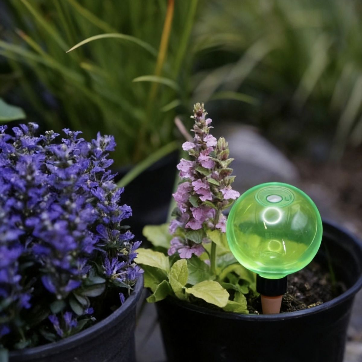 3er-Set große selbstbewässernd – Self Watering Planter Bewertung und Preis