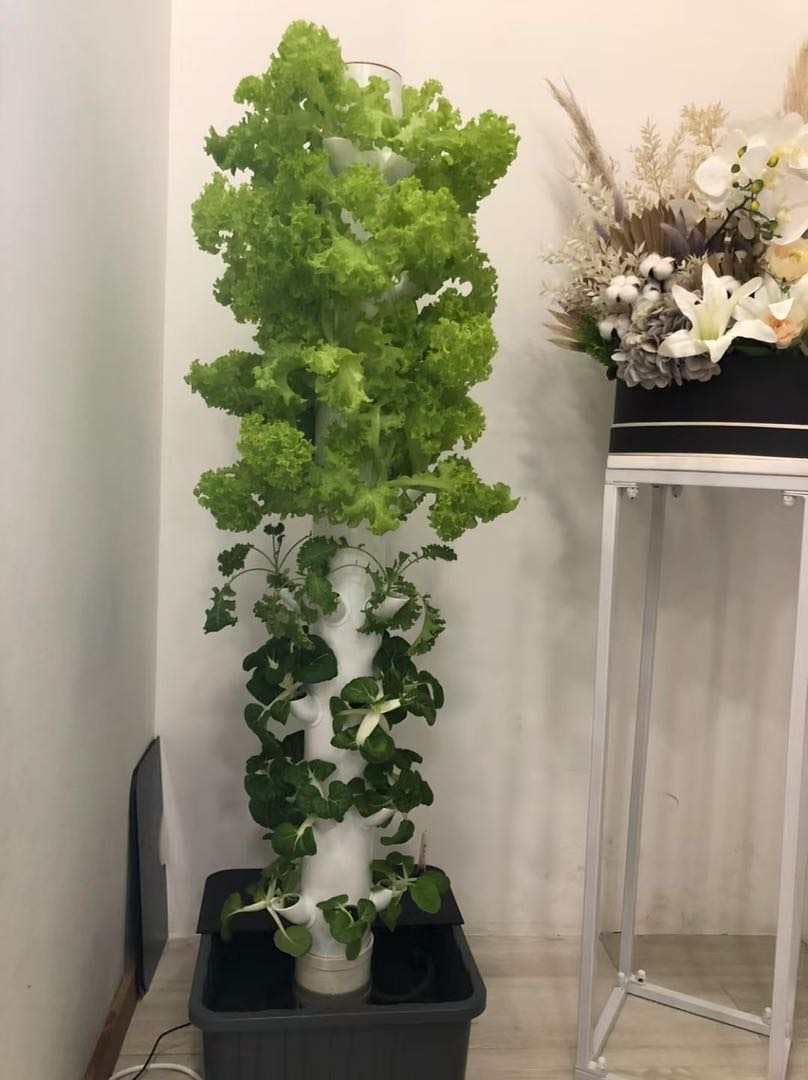 Vertikaler Hydroponischer Anba – Hydroponic Tower Bewertung und Preis