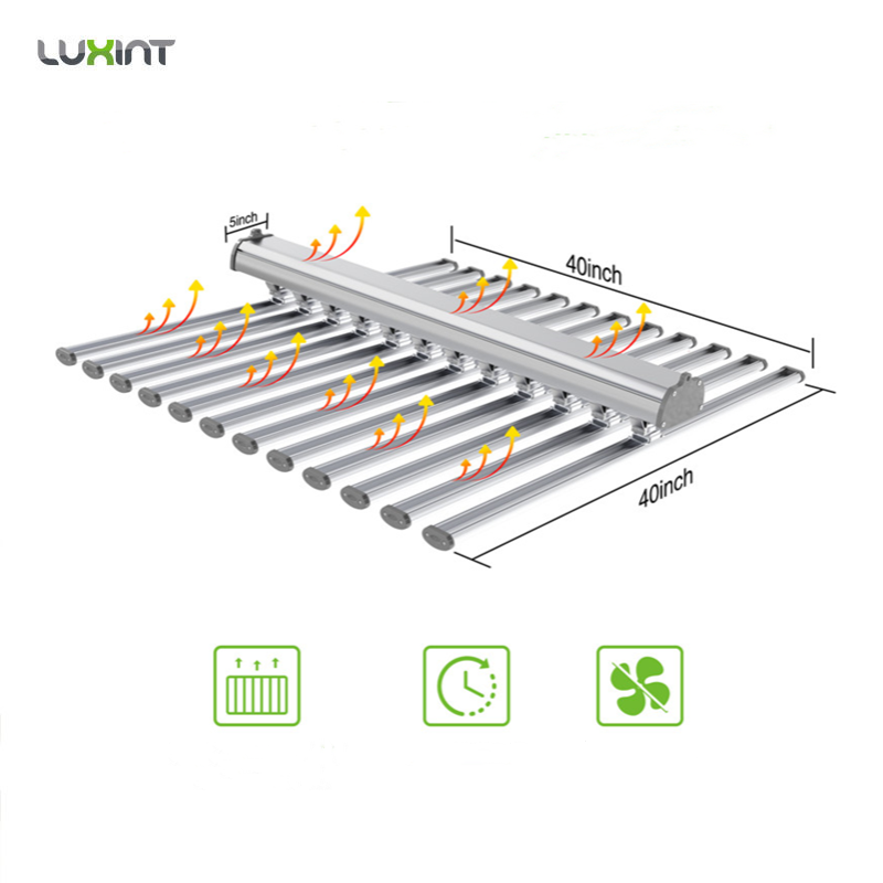 LUX China Fabrik LED Pflanzenb – Grow Light Led Bewertung und Preis