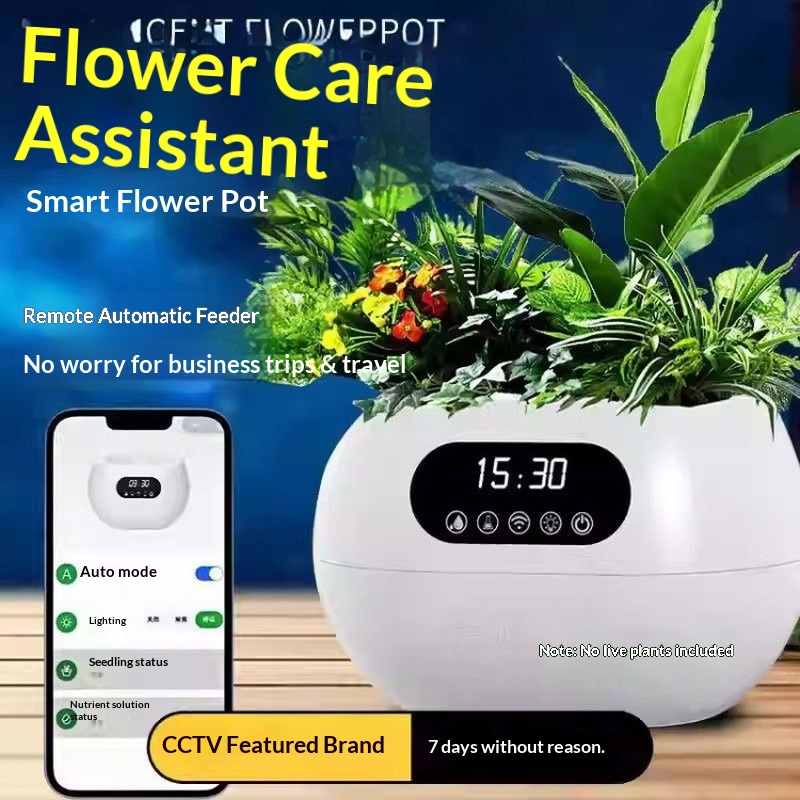 KI-Intelligenter Blumentopf Au – Automatic Watering Bewertung und Preis