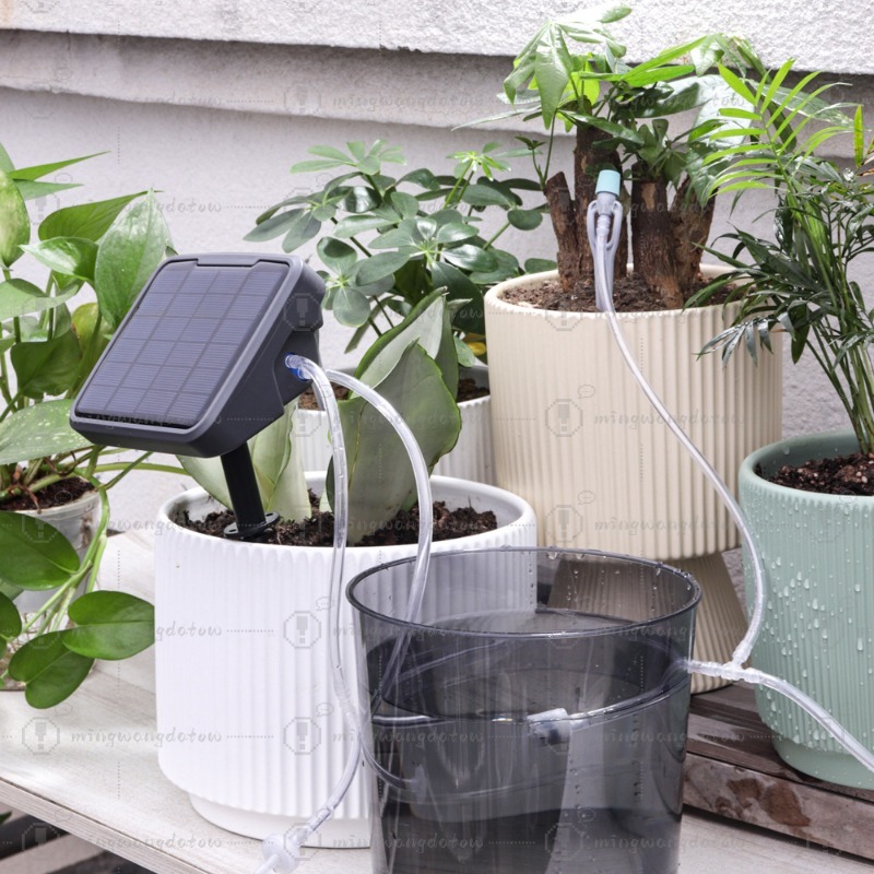 Solarbetriebene Automatische B – Automatic Watering Bewertung und Preis