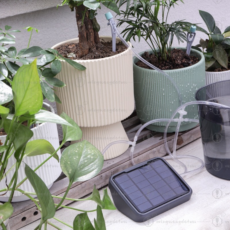 Solarbetriebene Automatische B – Automatic Watering Bewertung und Preis