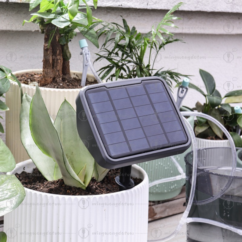 Solarbetriebene Automatische B – Automatic Watering Bewertung und Preis