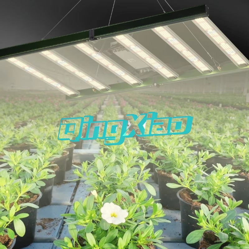 Faltbare Octopus-Vollspektrum- – Plant Grow Light Full Spectrum Bewertung und Preis