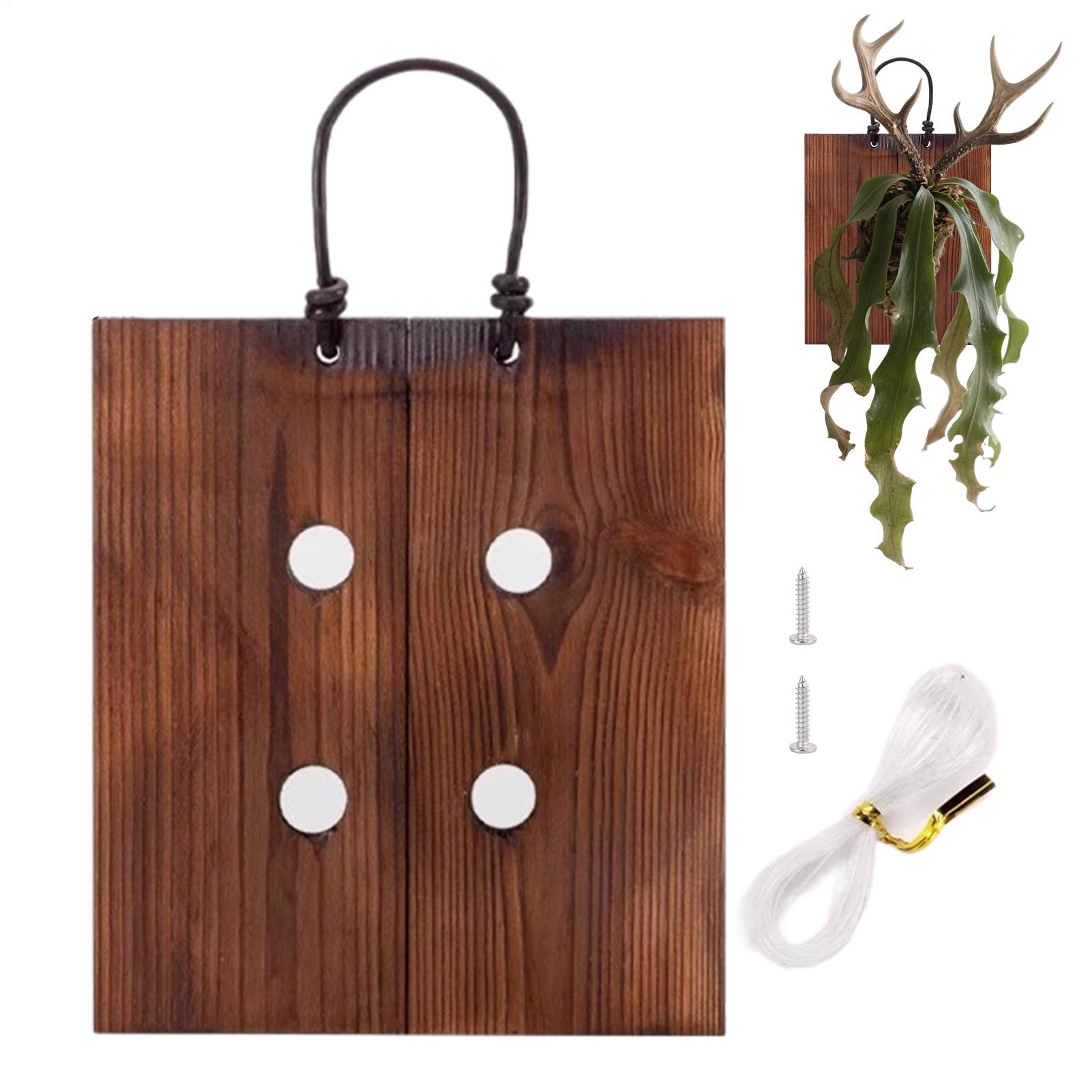 Staghorn-Farn-Wandhalterung au – Indoor Garden Kit Bewertung und Preis