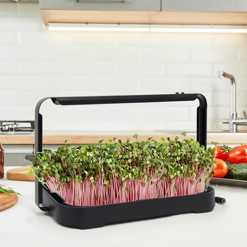 Hydroponisches Anzuchtsystem f – Smart Garden Kit Bewertung und Preis