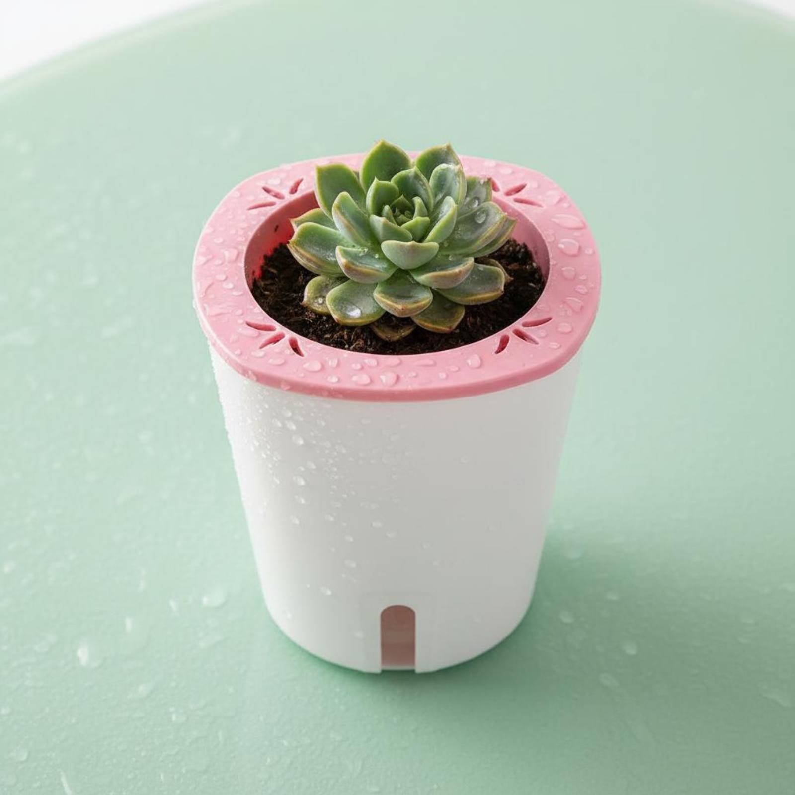 Selbstbewässernder Pflanzkübel – Self Watering Planter Bewertung und Preis