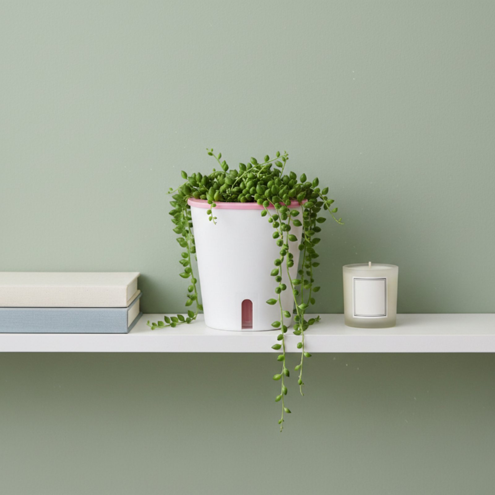 Selbstbewässernder Pflanzkübel – Self Watering Planter Bewertung und Preis
