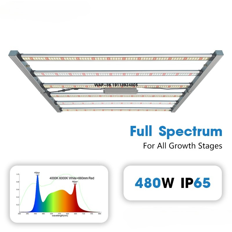 Hochleistungs-LED-Pflanzenlamp – Plant Grow Light Full Spectrum Bewertung und Preis