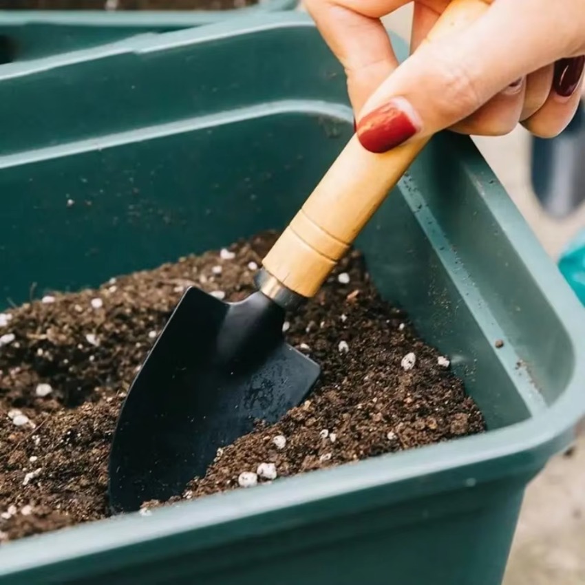 3-teiliges Mini-Gartenwerkzeug – Indoor Garden Kit Bewertung und Preis