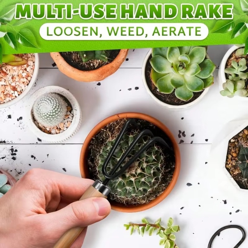 3-teiliges Mini-Gartenwerkzeug – Indoor Garden Kit Bewertung und Preis