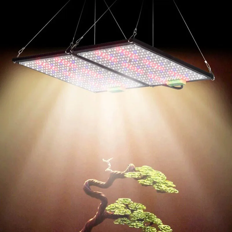LED-Quantum-Board-Pflanzenlamp – Grow Light Led Bewertung und Preis